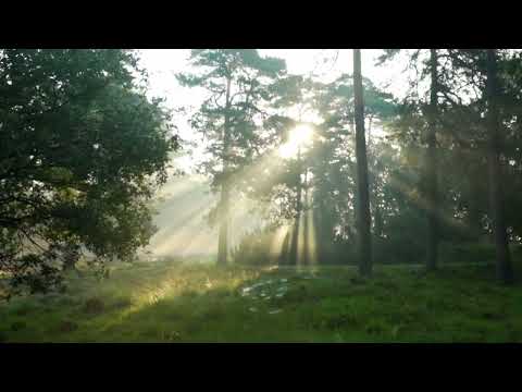 Every Moment I Judah Earl #music #cinematic #rest