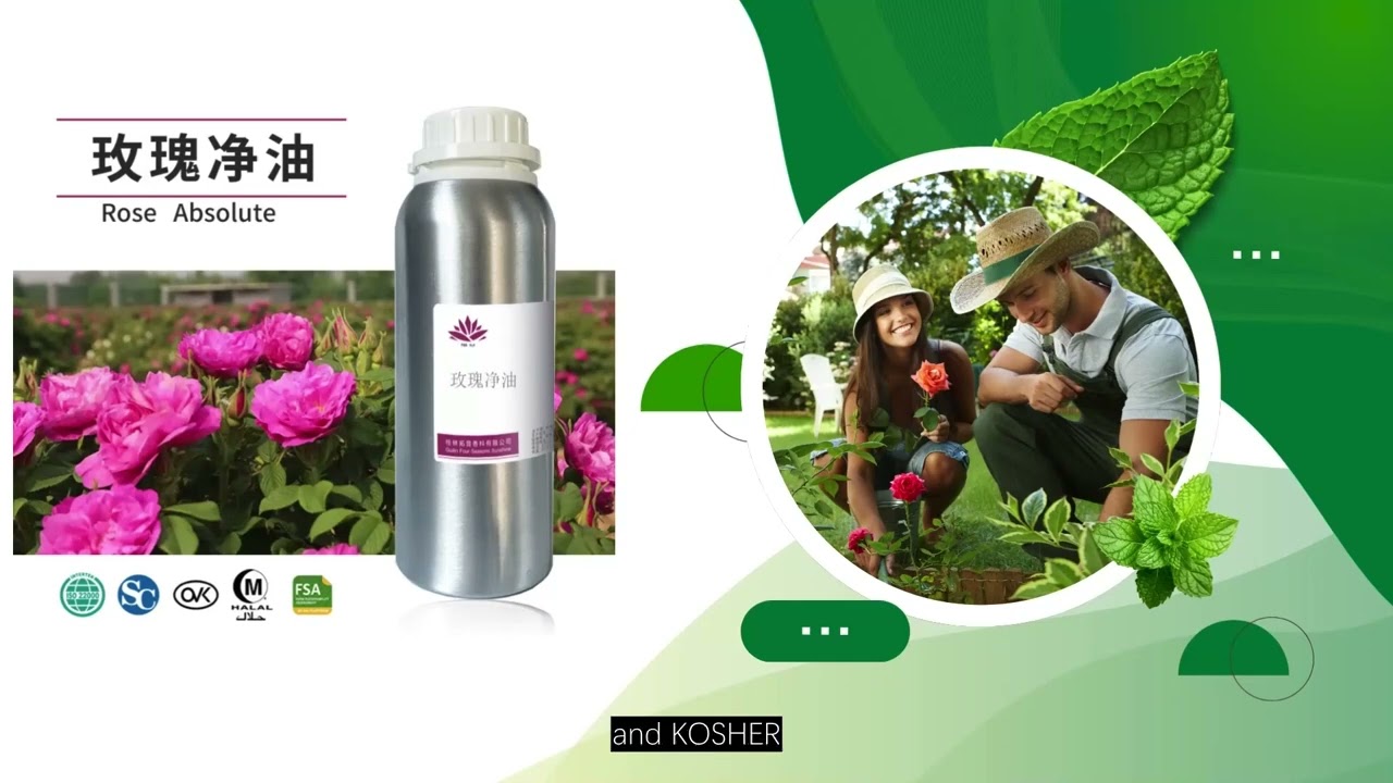 American Ginseng Concrete – A Unique and Revitalizing Herbal Extract