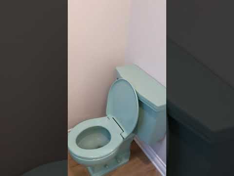 sie491 - Video 2 of 2