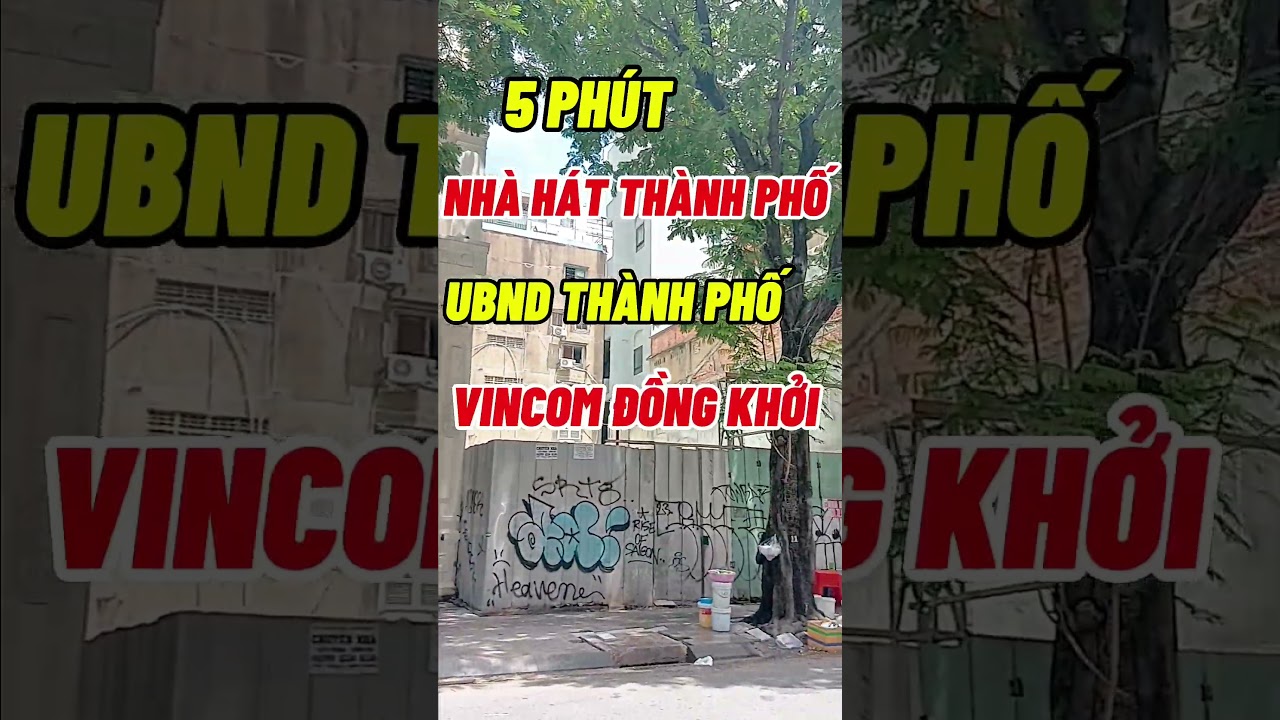 Ảnh đại diện Video