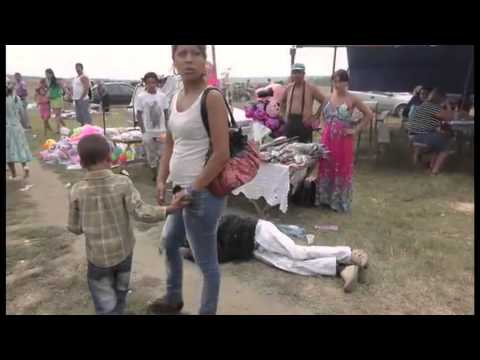 Chewbacca de la Piscani