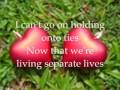 separate lives by stephen bishop acoustic version(rare copy)