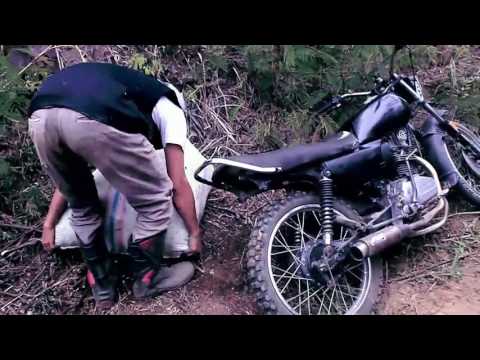 Lagu Gayo terbaru 2017 - PELANGSIR by Singkite Group