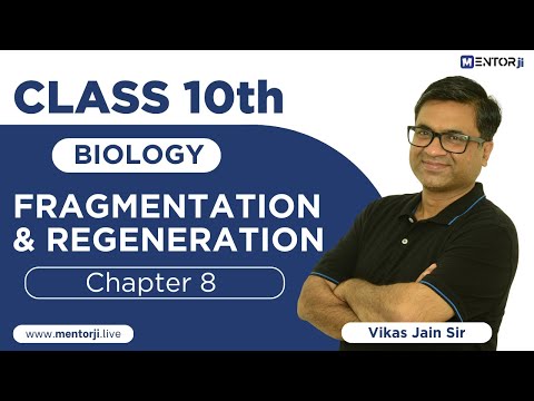 Fragmentation & Regeneration | How Do Organisms Reproduce?| Class-10 Biology | MentorJi