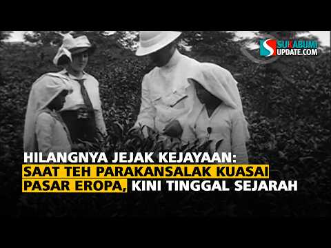 Hilangnya Jejak Kejayaan: Saat Teh Parakansalak Kuasai Pasar Eropa, Kini Tinggal Sejarah