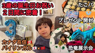 【3歳誕生日の2日間】お誕生日おめでとう!バイリンガルキッズ/恐竜/プレゼント開封/子育て/カナダ