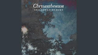 Download lagu Shallowed Memory mp3 Download lagu Shallowed Memory mp3