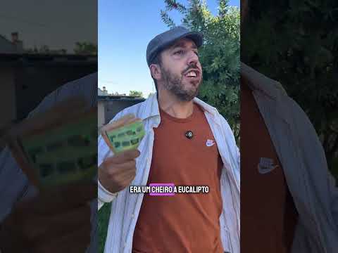 CARRINHA DA EMPRESA 🚚