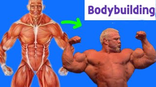 Body building exercise