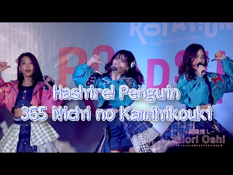 【Miori Focus】BNK48 - วิ่งไปสิ...เพนกวิน｜365 วันกับเครื่องบินกระดาษ @Roadshow Chiangmai