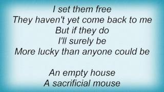 Abandoned Pools - Lucky Lyrics