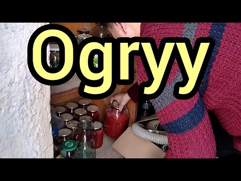 Turkmen prikol 2022.   OGRYYY ( degisme) vine😄