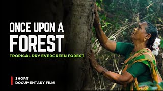 Once Upon a Forest - Documentary Film - Auroville Botanical Gardens