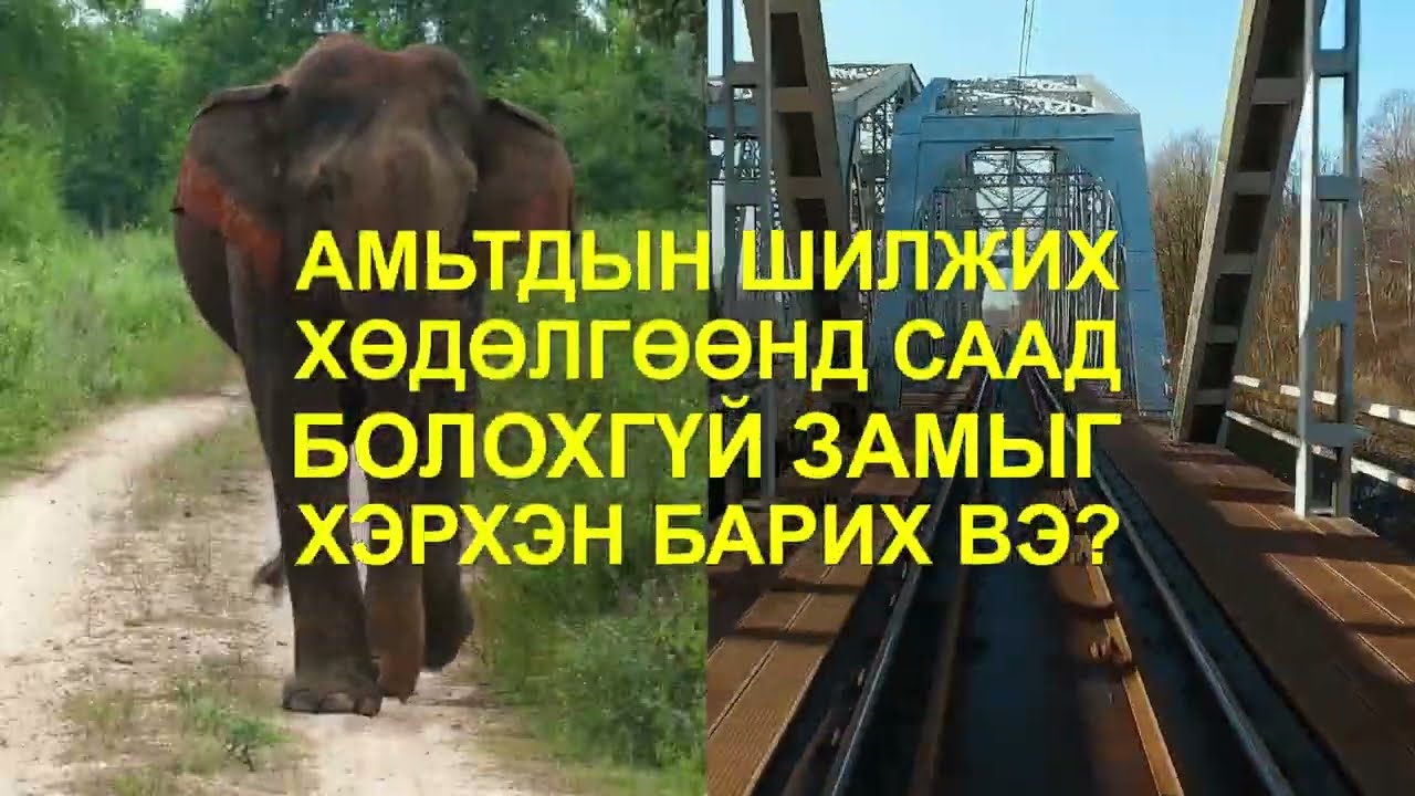 Roads (Mongolian)