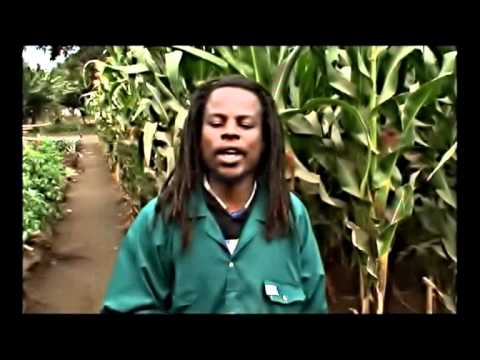 Mvua Zimeanza - Nicko P Feat Kanashi I & Soulji Karrado(Ninjah).mov