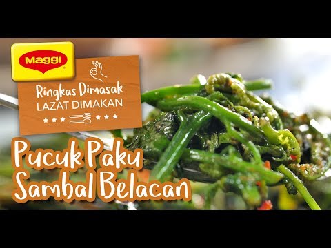 Stir Fried Wild Ferns Sambal Belacan