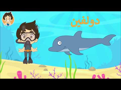 Aquatic Animals for Kids in Arabic -  حيوانات البحر باللغة العربية للاطفال