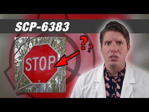 SCP-6383: The One True Anomaly