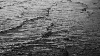 Devendra Banhart  - Seaside