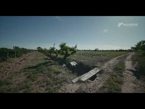FINCAS en General Alvear (Mendoza, Argentina). versión en español