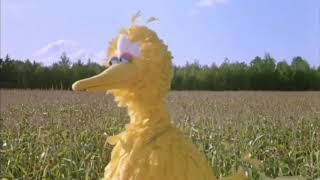 Sesame Street Follow That Bird Snuffy And Big Bird