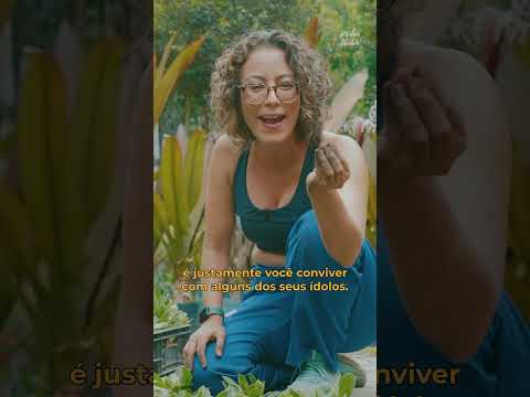Um jardim que nunca fica pronto