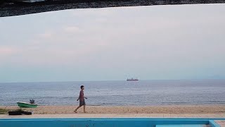 [MV] カーテンが乾く前に / ゲッコーマン