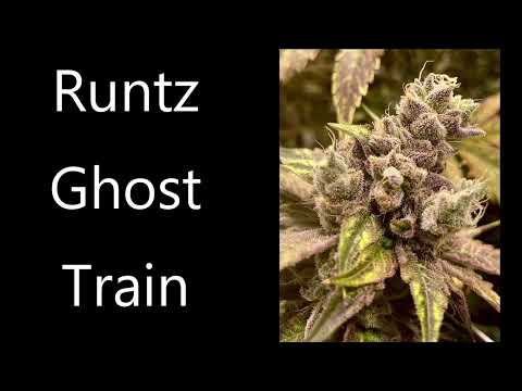 Rare Dankness New Strains 2023