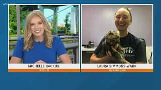 Humane Ohio filled with cats this kitty season