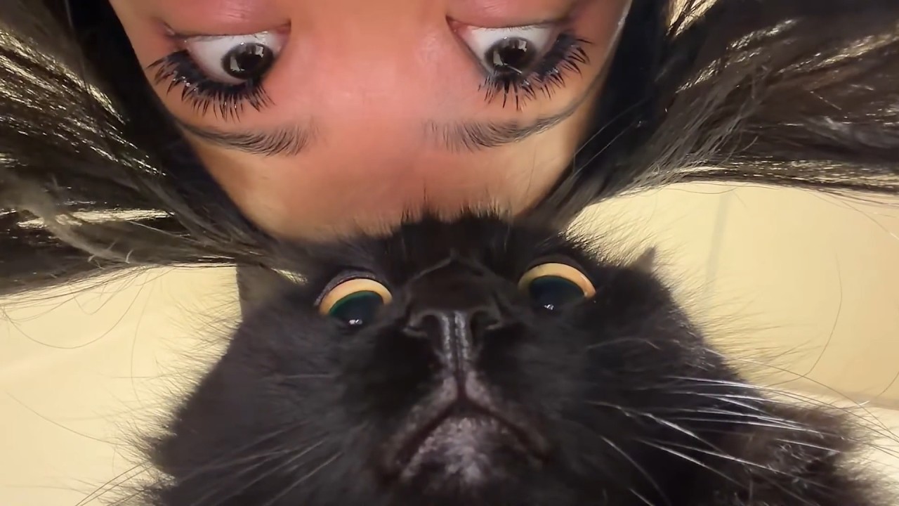 UNUSUAL MEMES COMPILATION V389