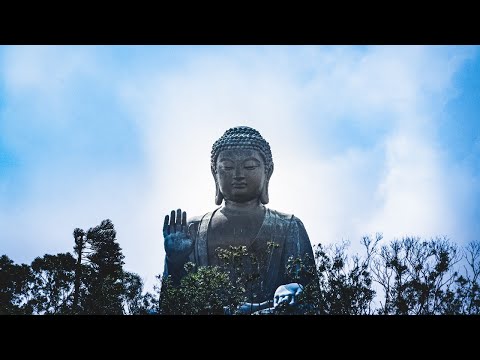 With Moggallāna the Accountant: MN 107 w/ Bhante Pmautto