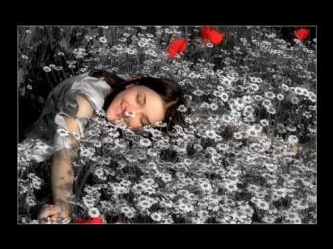 Ella Es Tímida - Roxette
