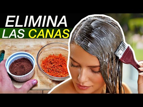 Revealing the Natural Secret to Gray Hair! Discover the Power of the Avocado Seed