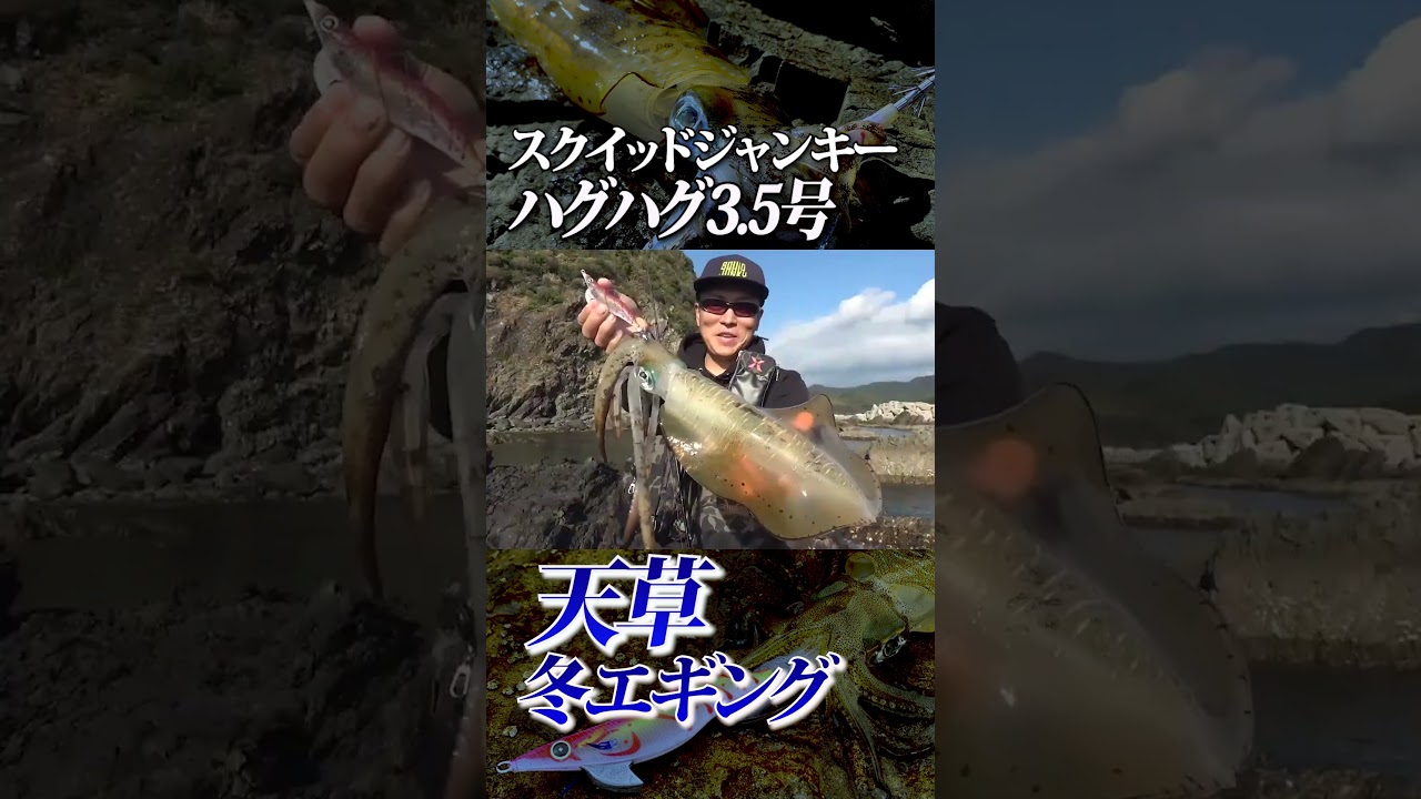 【冬エギング】ハグハグで良型アオリイカ確保！アタリが取れなくても大丈夫！