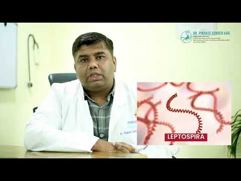 Understanding How Vaccines Help Prevent Jaundice