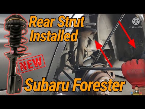 SUBARU FORESTER! Rear Strut Installation #fyp #foryou