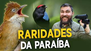 Miniatura do vídeo