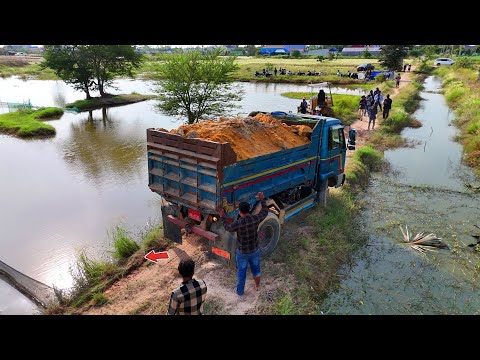 Be Watchful!! Processing Landfill Site Formed! Using Dump Truck & Dozer PUSH SOIL into Water!!