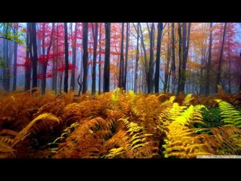 Deep in Vocal Euphoria with Elucidate Ft. GT vs. Project C - 02 - September 2006 - HD