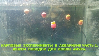 Снасть для ловля амура