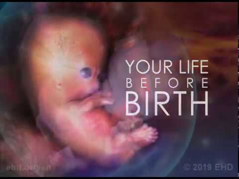 Your Life Before Birth
