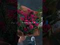 Zameen Se Aasman Tak Hum Dhundh Aaye Jahan Sara Hua Hai Aaj Pehli Baar Status HD Love Lovesong