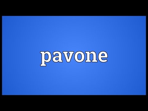 Pavone Meaning