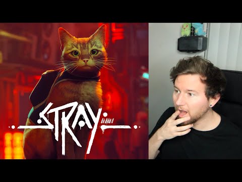 roleplaying as a cat! (playing STRAY)