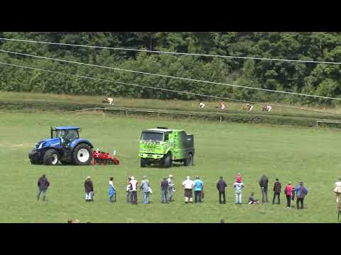 SH, 13. 7. 2019, 1. dostih - Cena Bruntálských soukromých podnikatelů - I. ročník