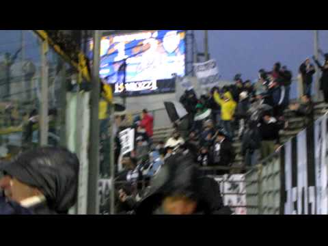 cori di vittoria !!!!!!          brescia cesena 1 2 gennaio2010 050