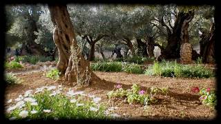 The Garden   Kari Jobe   Worship Video with lyrics