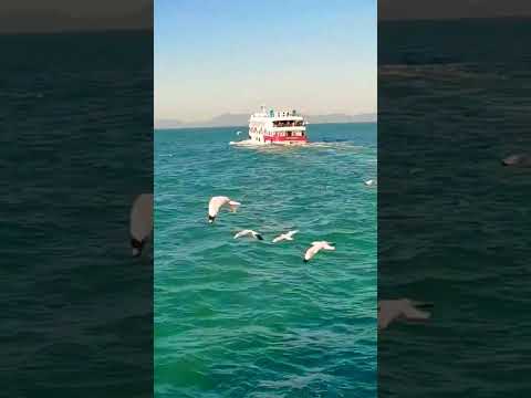 Way to Saint Martin Island. Bangladesh. #shorts #saintmartin
