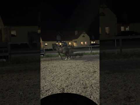 2025 = za dużo koni