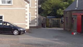 Pigeons at Glynn Farm, Co Antrim, N. Ireland